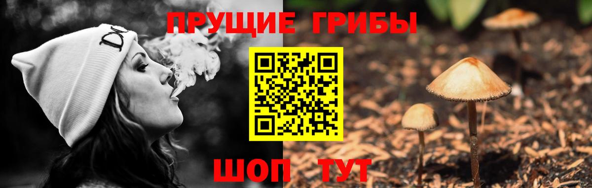 Псилоцибиновые грибы Psilocybe  Вход с VPN  Ливны 